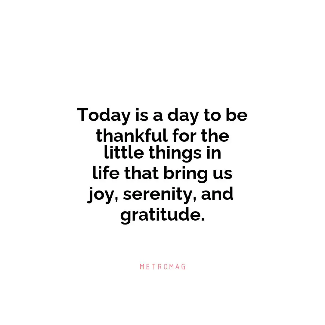 Today is a day to be thankful for the little things in life that bring us joy, serenity, and gratitude.