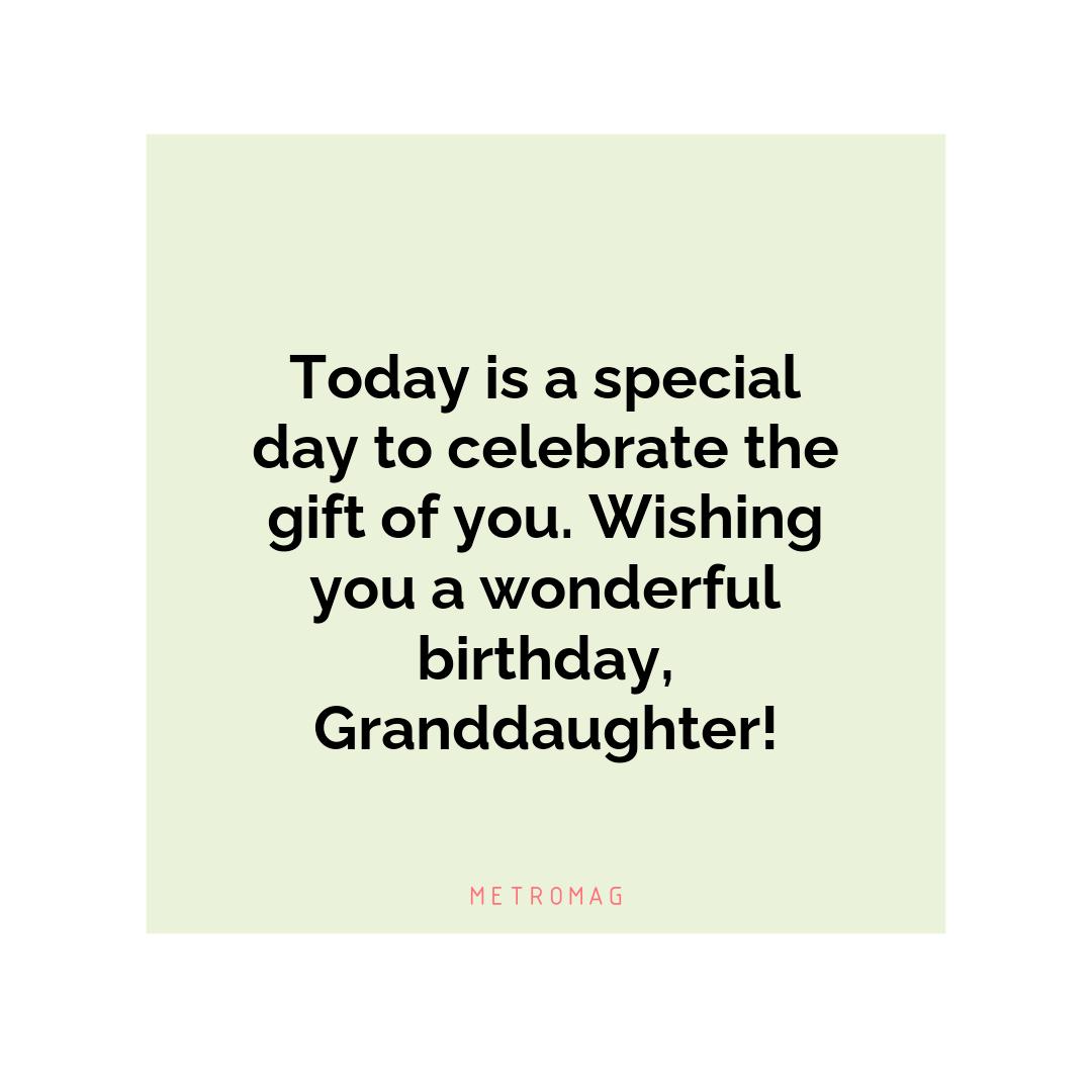 Today is a special day to celebrate the gift of you. Wishing you a wonderful birthday, Granddaughter!