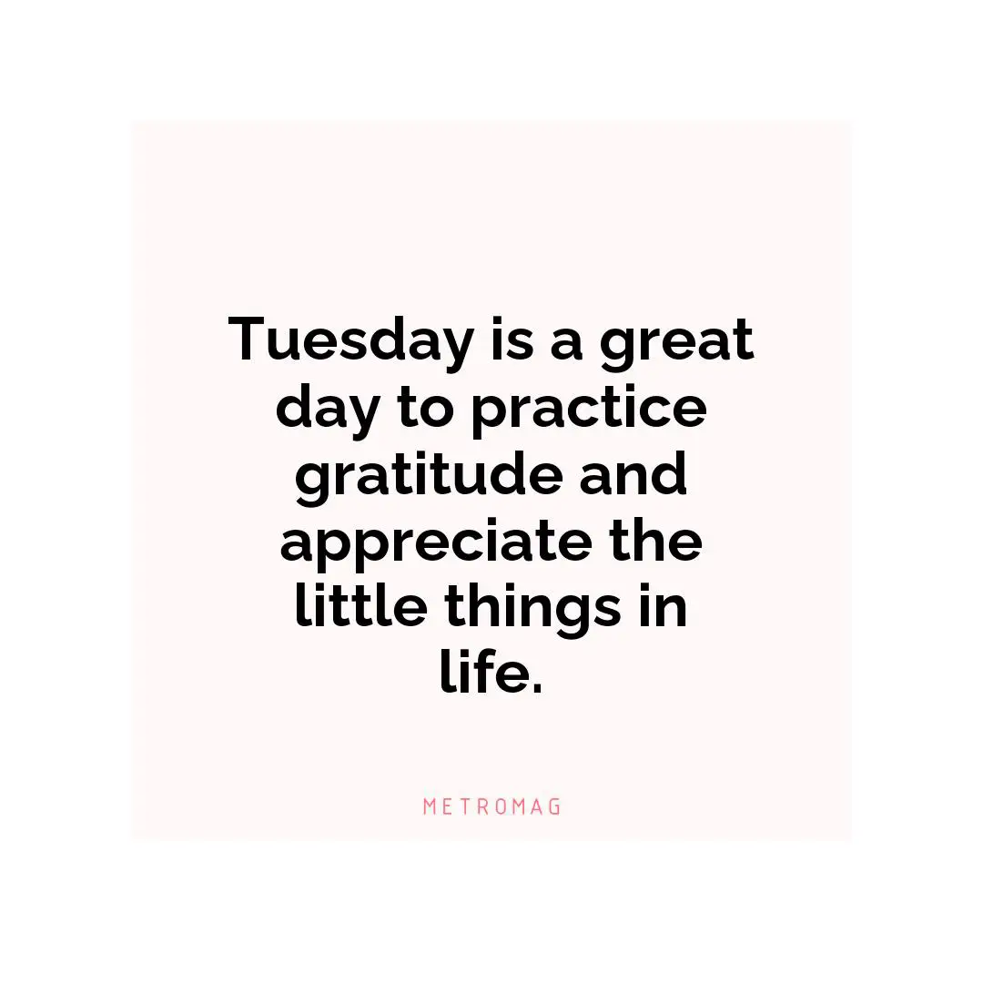 Tuesday is a great day to practice gratitude and appreciate the little things in life.
