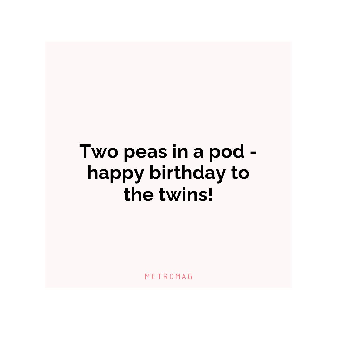 Two peas in a pod - happy birthday to the twins!