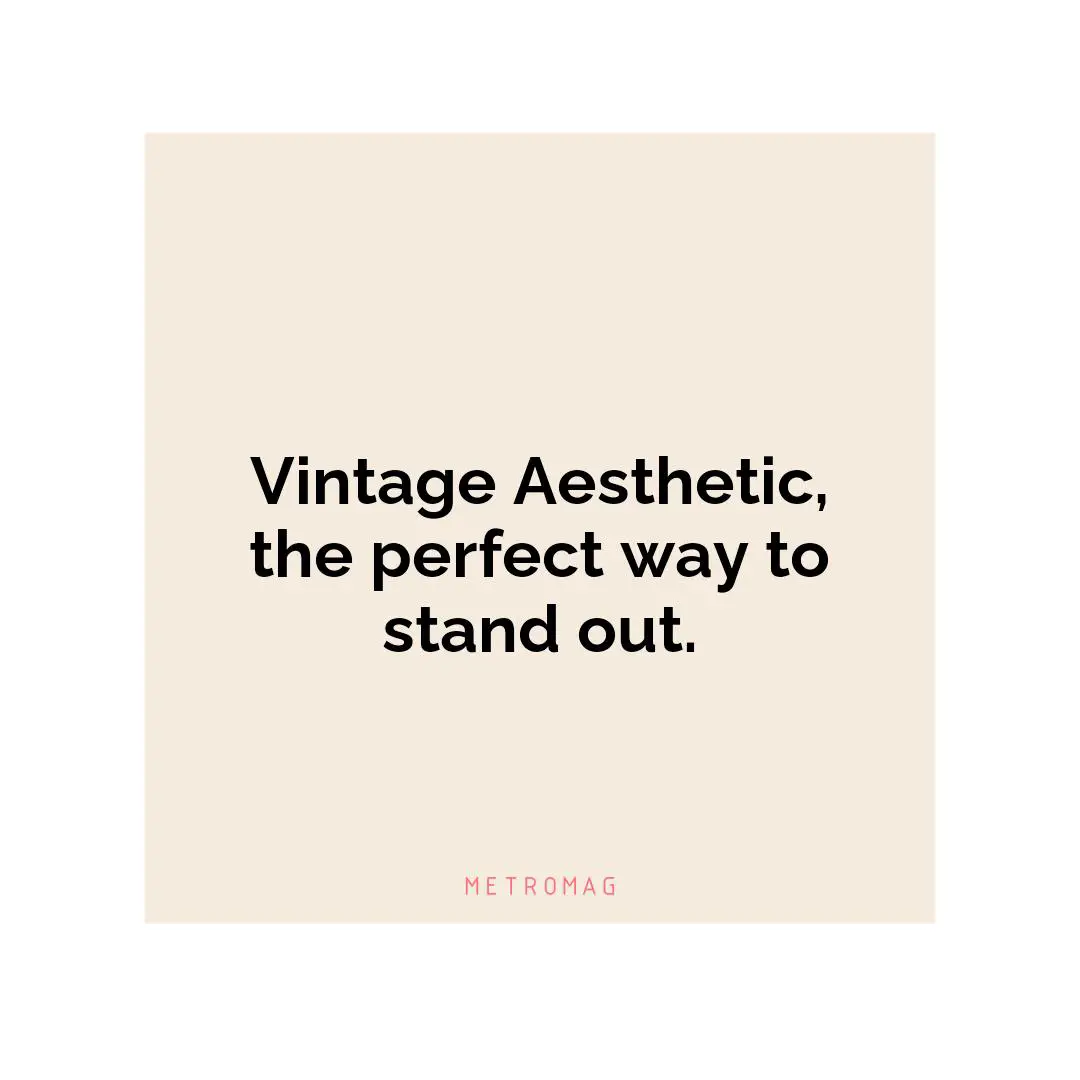 Vintage Aesthetic, the perfect way to stand out.