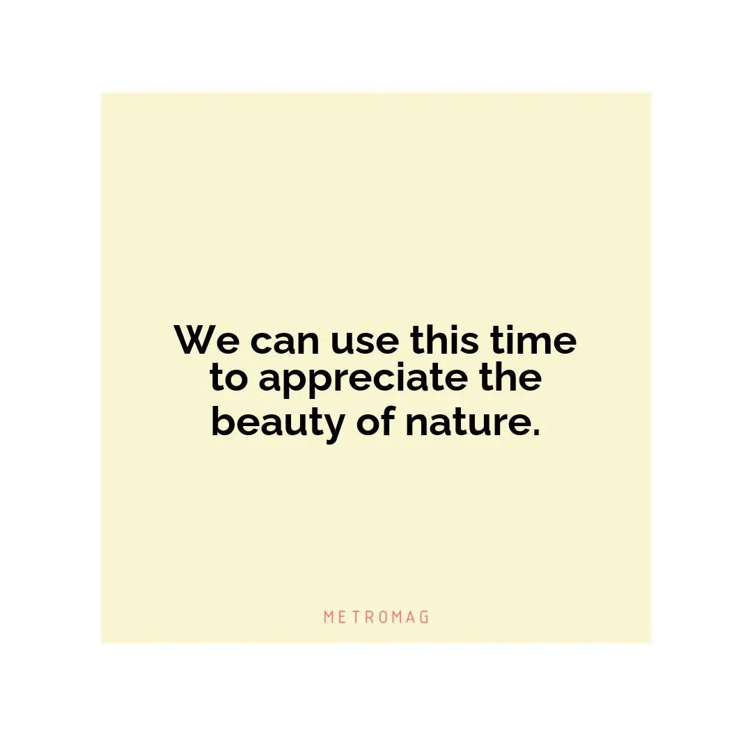 We can use this time to appreciate the beauty of nature.