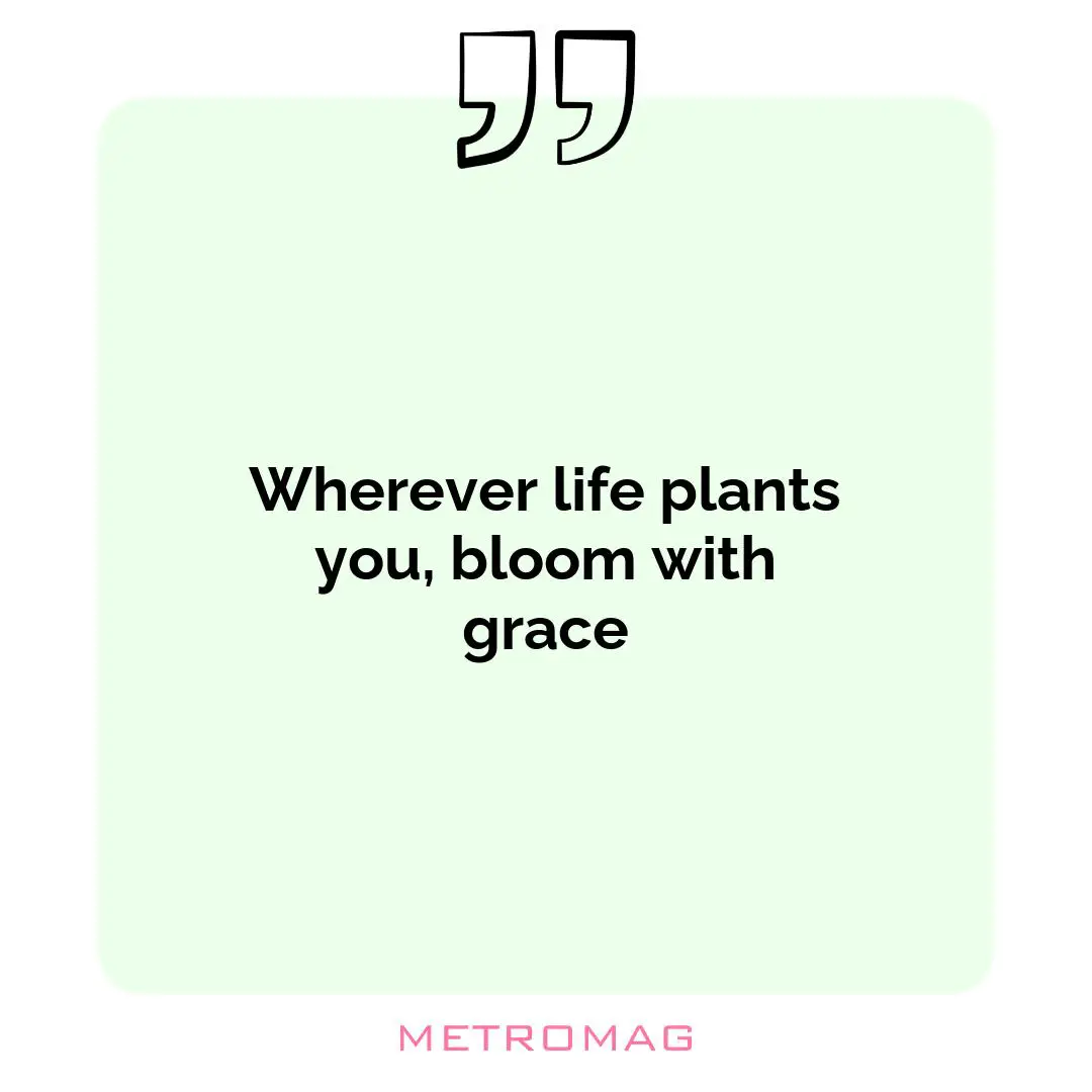 Wherever life plants you, bloom with grace