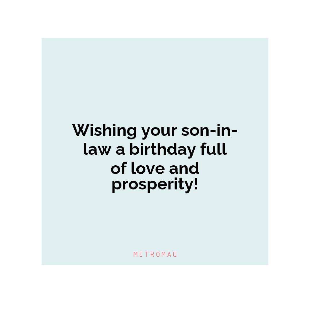 Wishing your son-in-law a birthday full of love and prosperity!