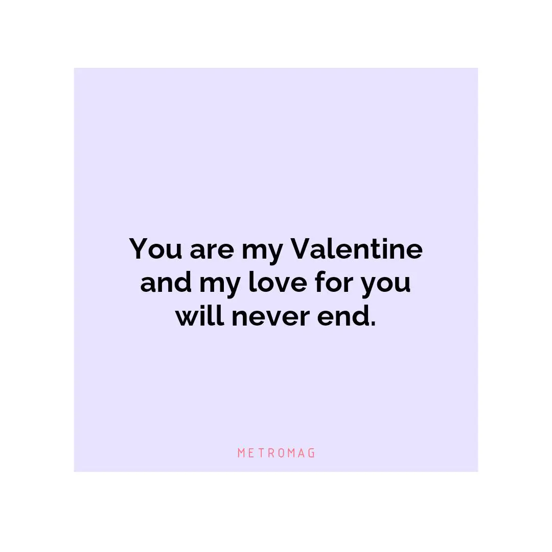 You are my Valentine and my love for you will never end.