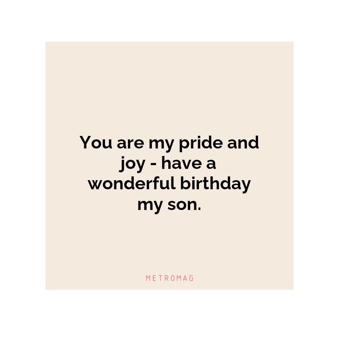 You are my pride and joy - have a wonderful birthday my son.