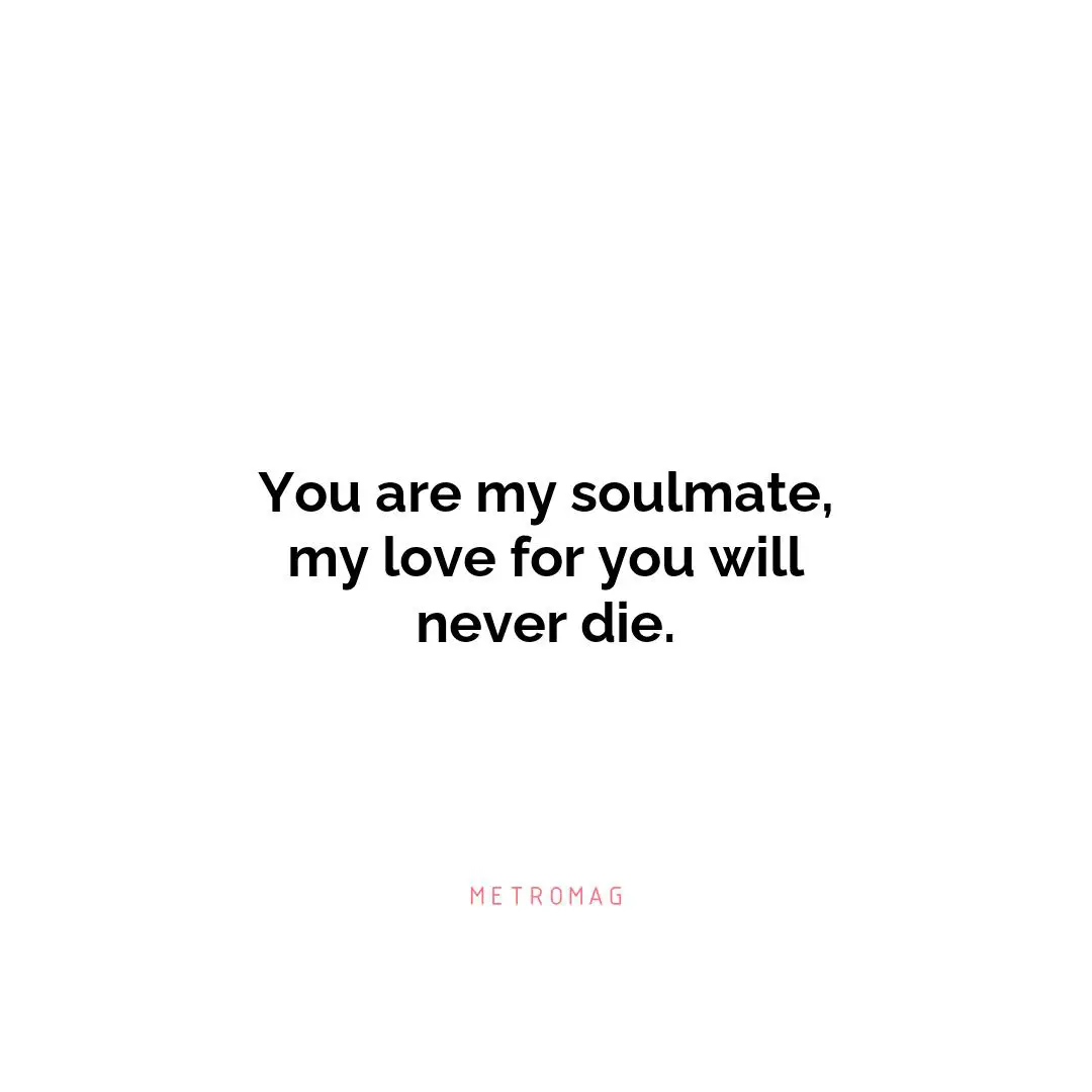 You are my soulmate, my love for you will never die.