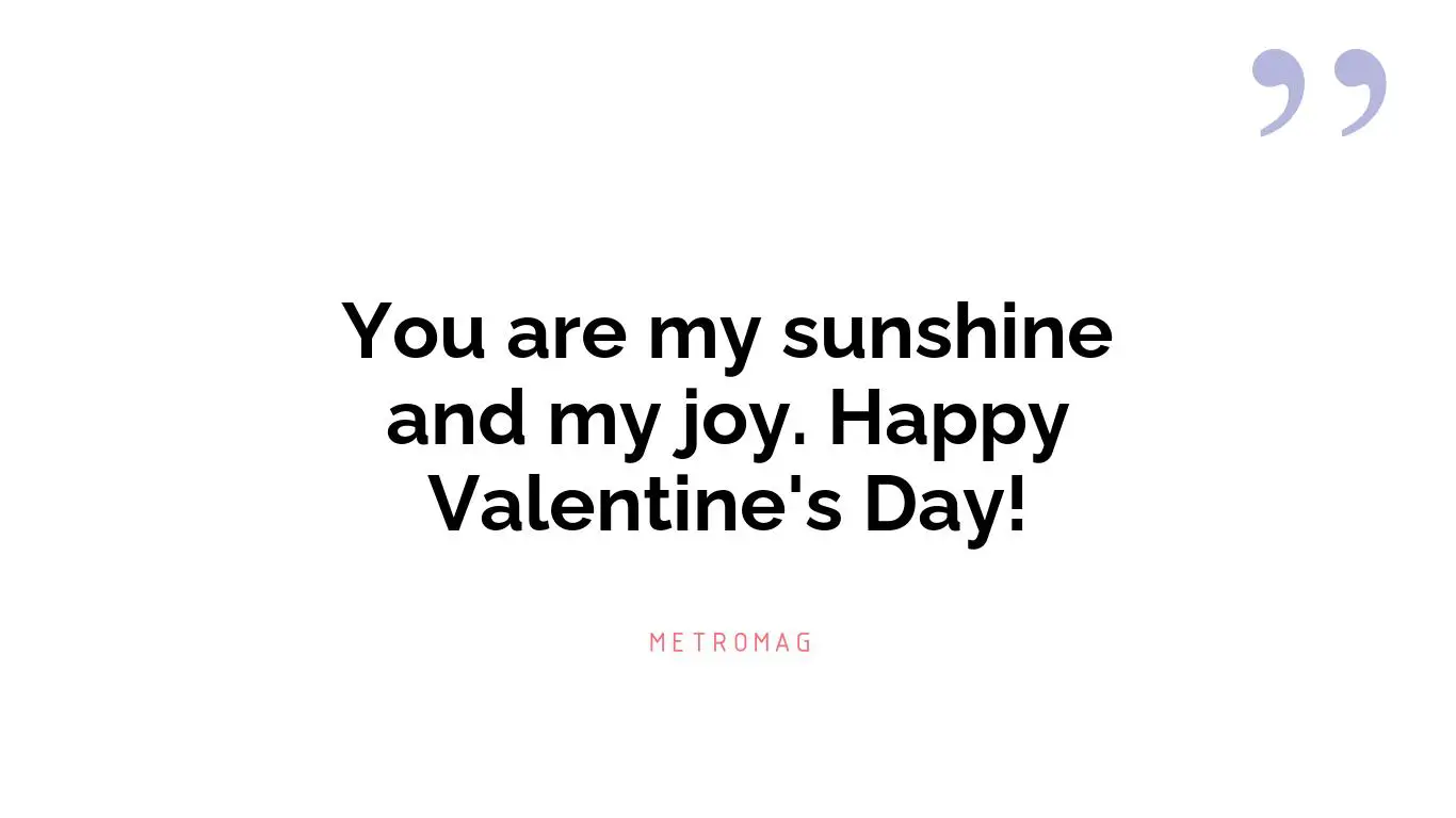 You are my sunshine and my joy. Happy Valentine's Day!