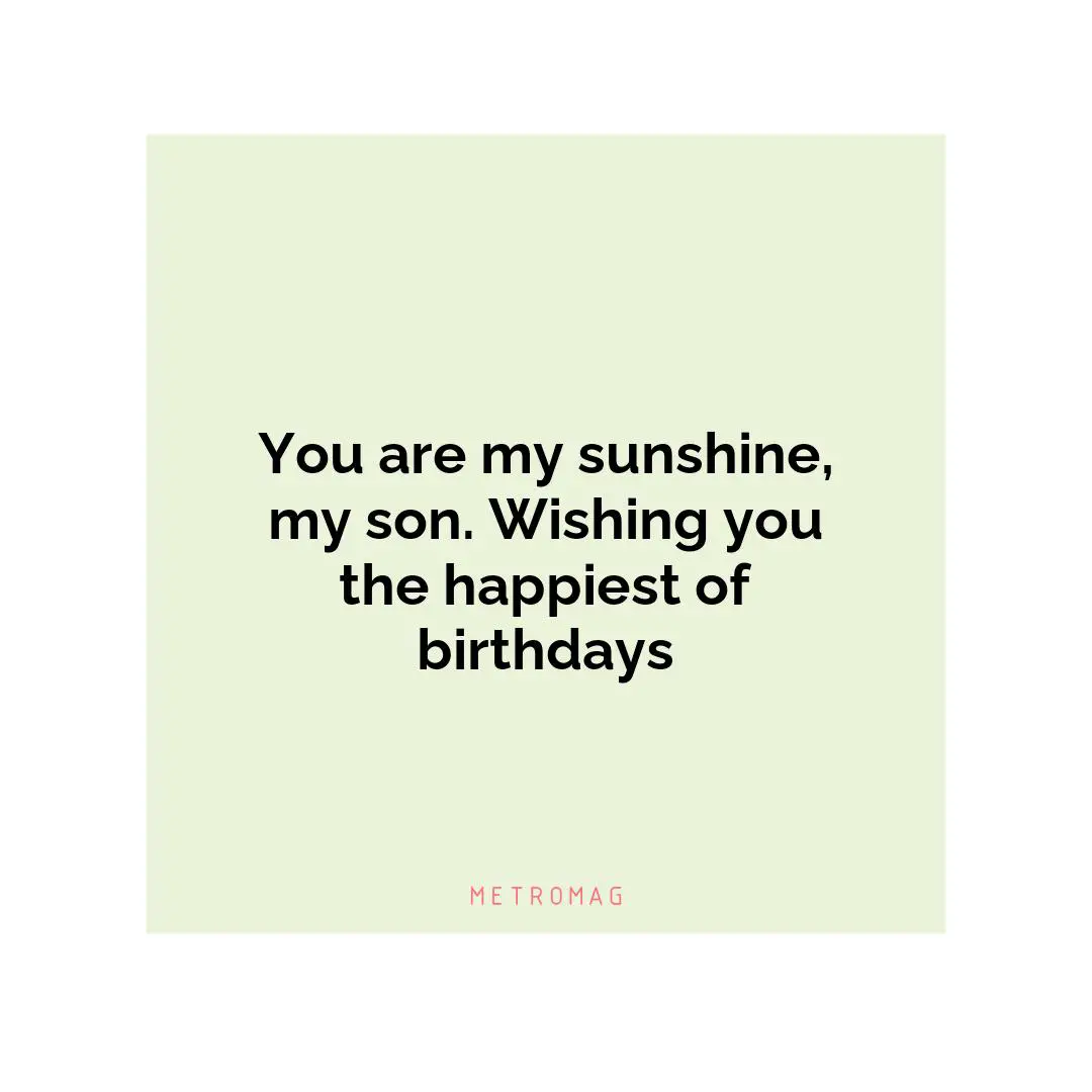 You are my sunshine, my son. Wishing you the happiest of birthdays