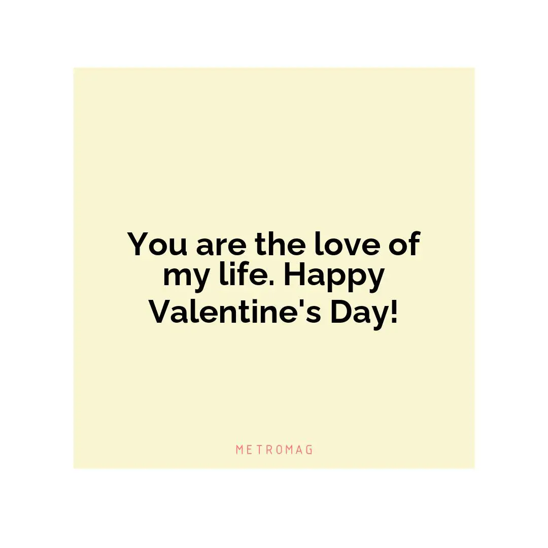 You are the love of my life. Happy Valentine's Day!