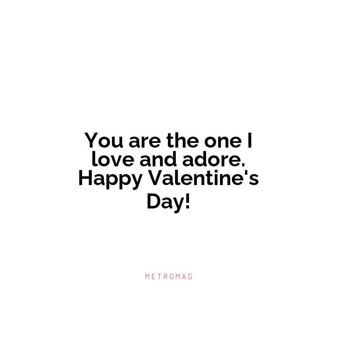 You are the one I love and adore. Happy Valentine's Day!