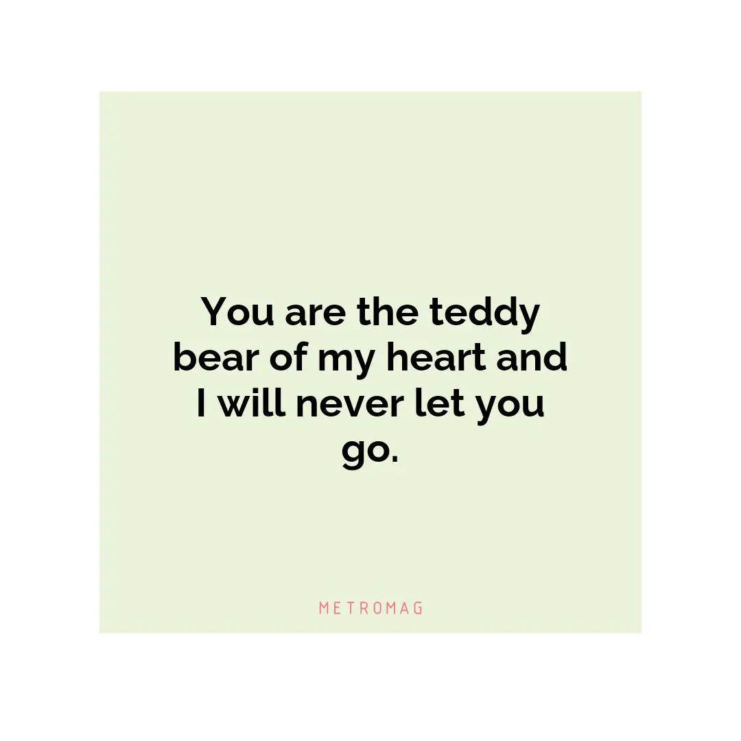 You are the teddy bear of my heart and I will never let you go.