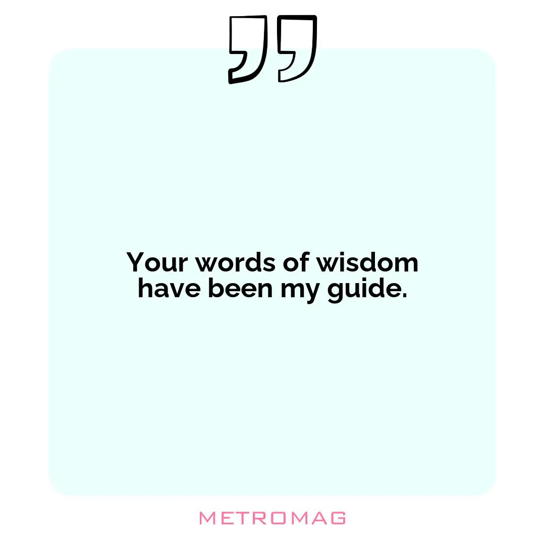 Your words of wisdom have been my guide.