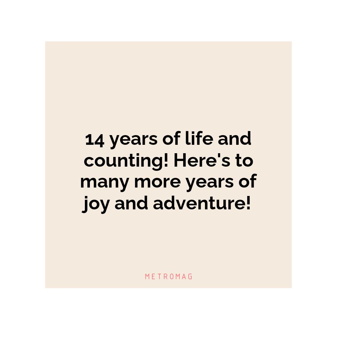 14 years of life and counting! Here's to many more years of joy and adventure!