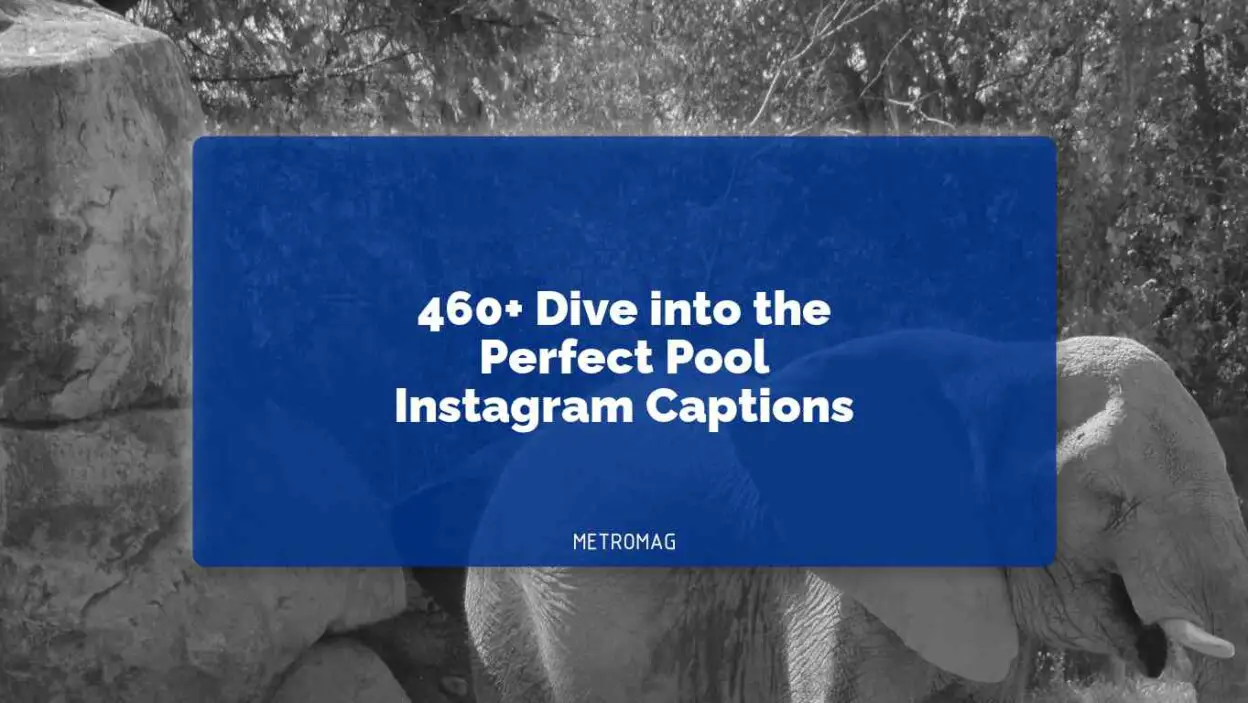460+ Dive into the Perfect Pool Instagram Captions
