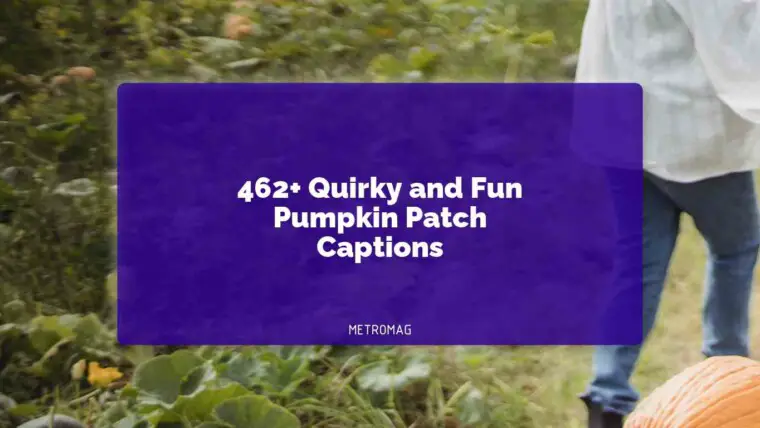 462+ Quirky and Fun Pumpkin Patch Captions