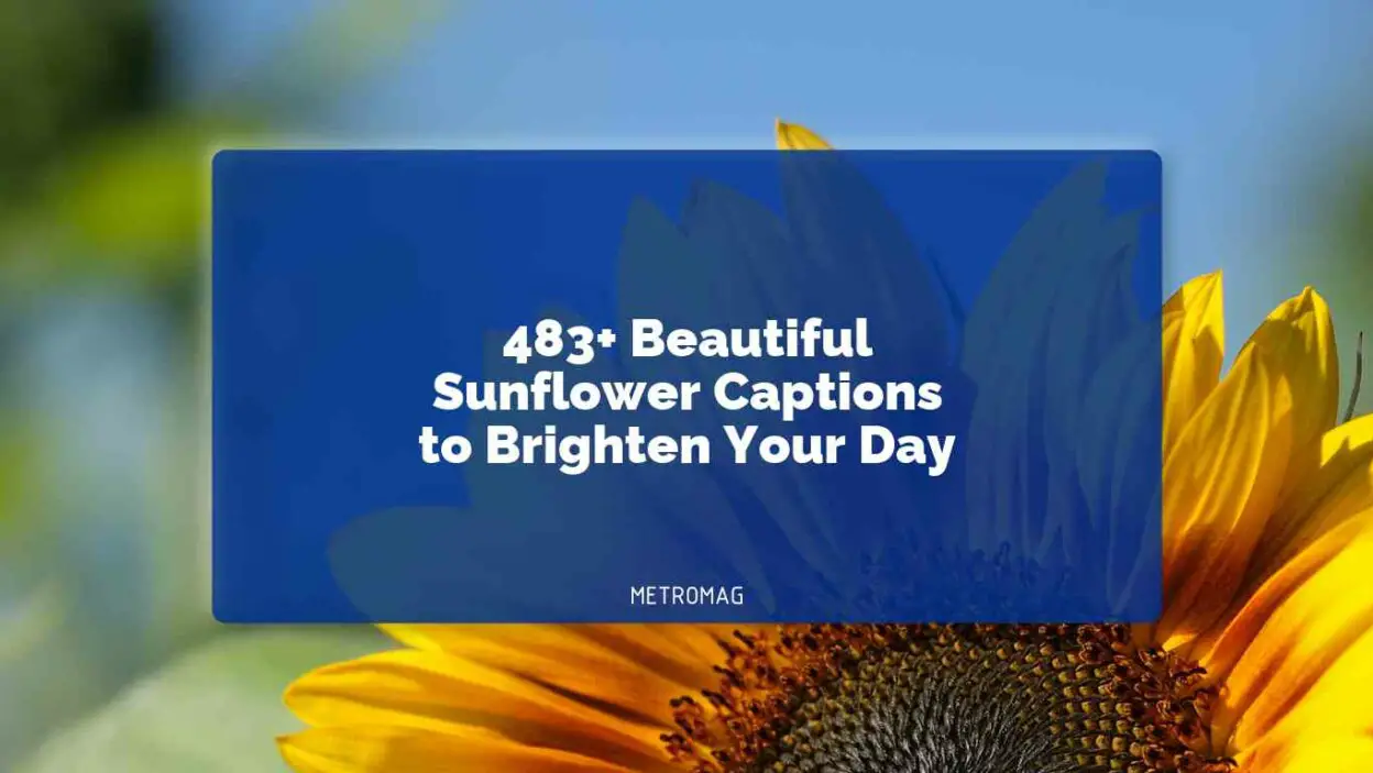 483+ Beautiful Sunflower Captions to Brighten Your Day