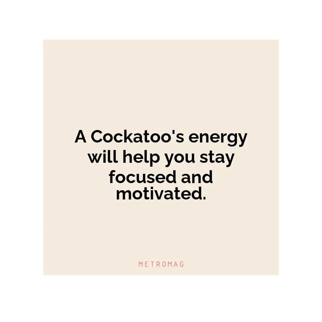 A Cockatoo's energy will help you stay focused and motivated.