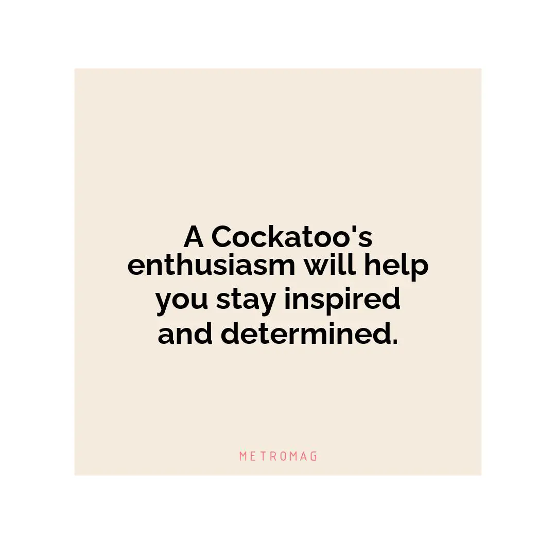 A Cockatoo's enthusiasm will help you stay inspired and determined.