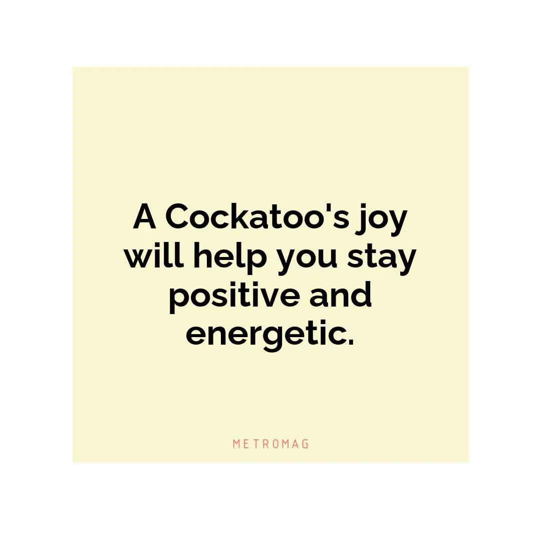 A Cockatoo's joy will help you stay positive and energetic.