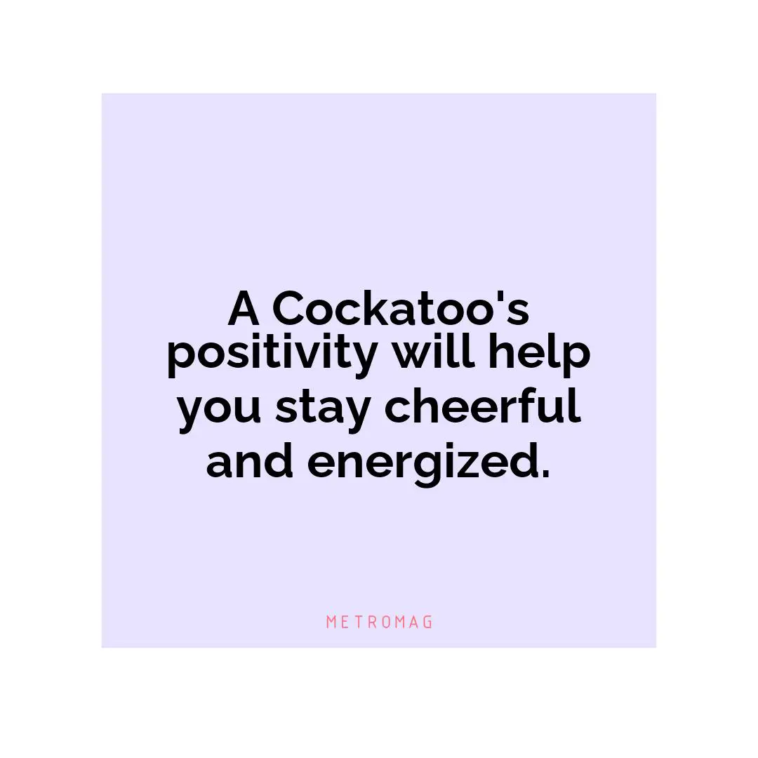 A Cockatoo's positivity will help you stay cheerful and energized.