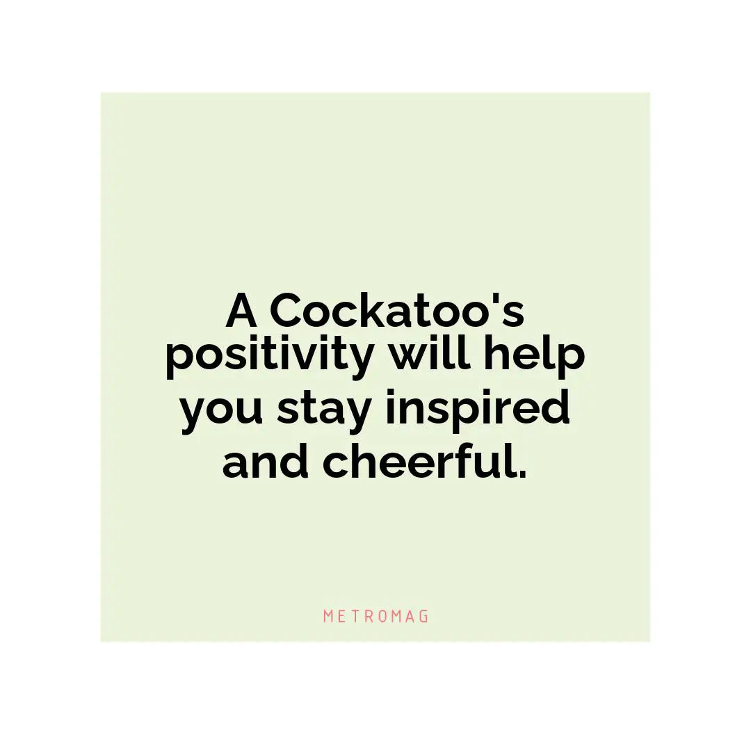 A Cockatoo's positivity will help you stay inspired and cheerful.