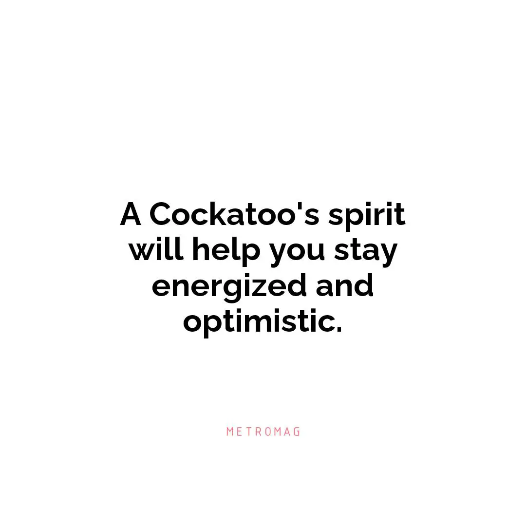 A Cockatoo's spirit will help you stay energized and optimistic.