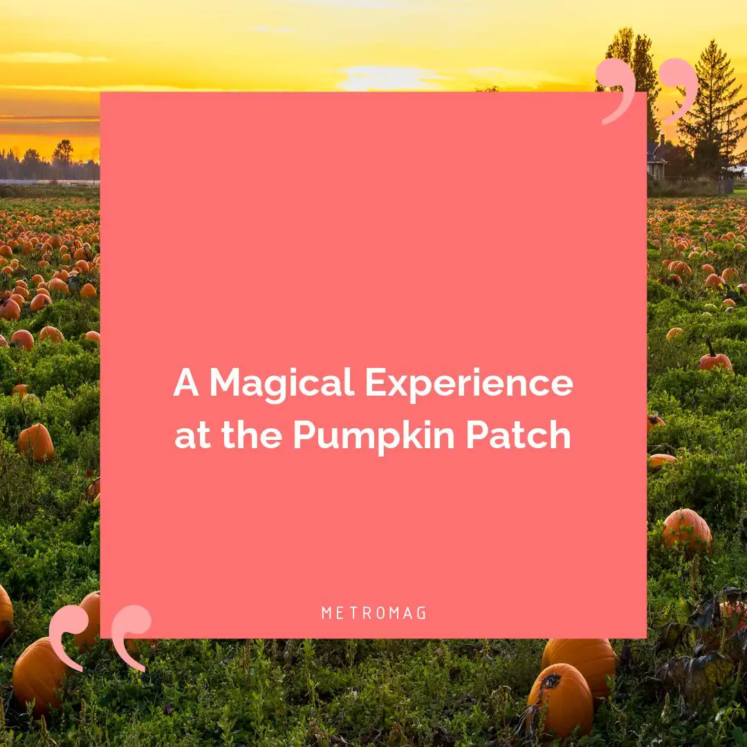 A Magical Experience at the Pumpkin Patch