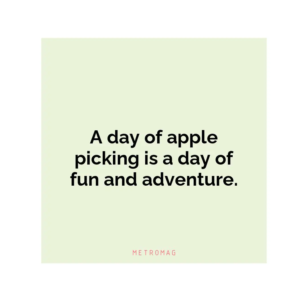 A day of apple picking is a day of fun and adventure.