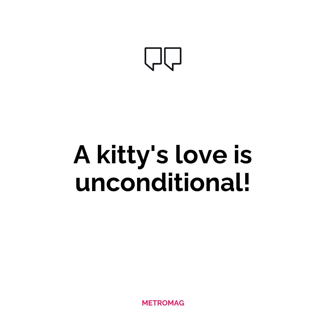 A kitty's love is unconditional!