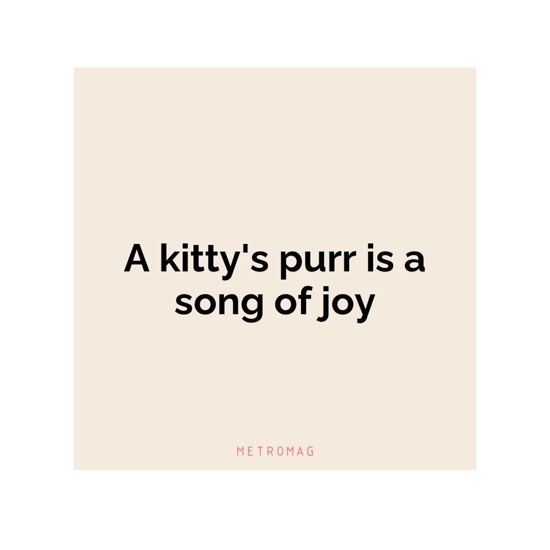 A kitty's purr is a song of joy