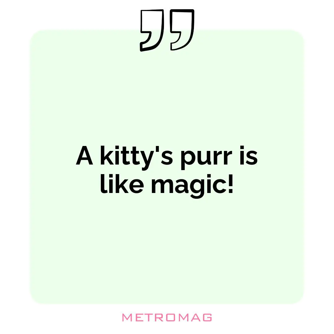 A kitty's purr is like magic!