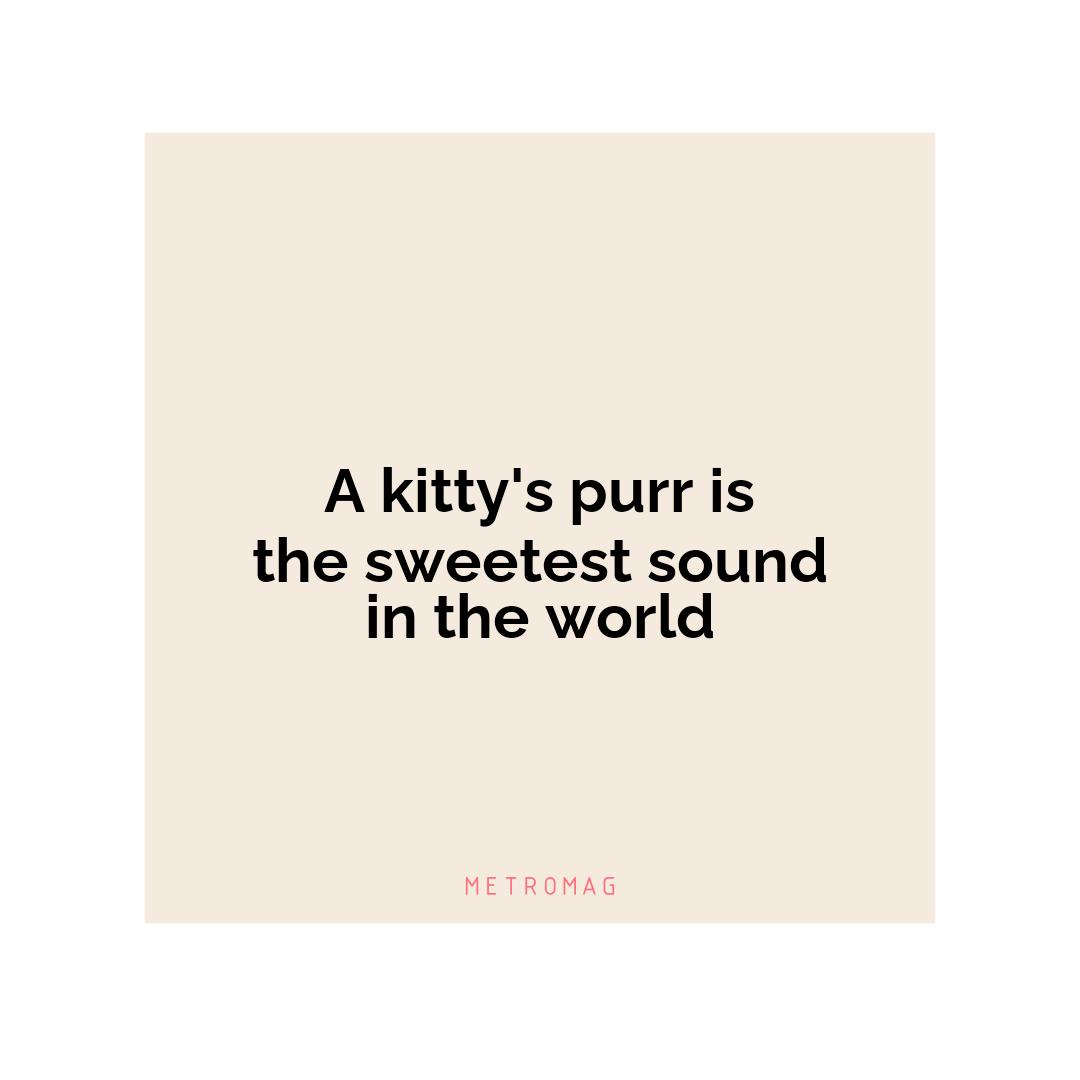 A kitty's purr is the sweetest sound in the world