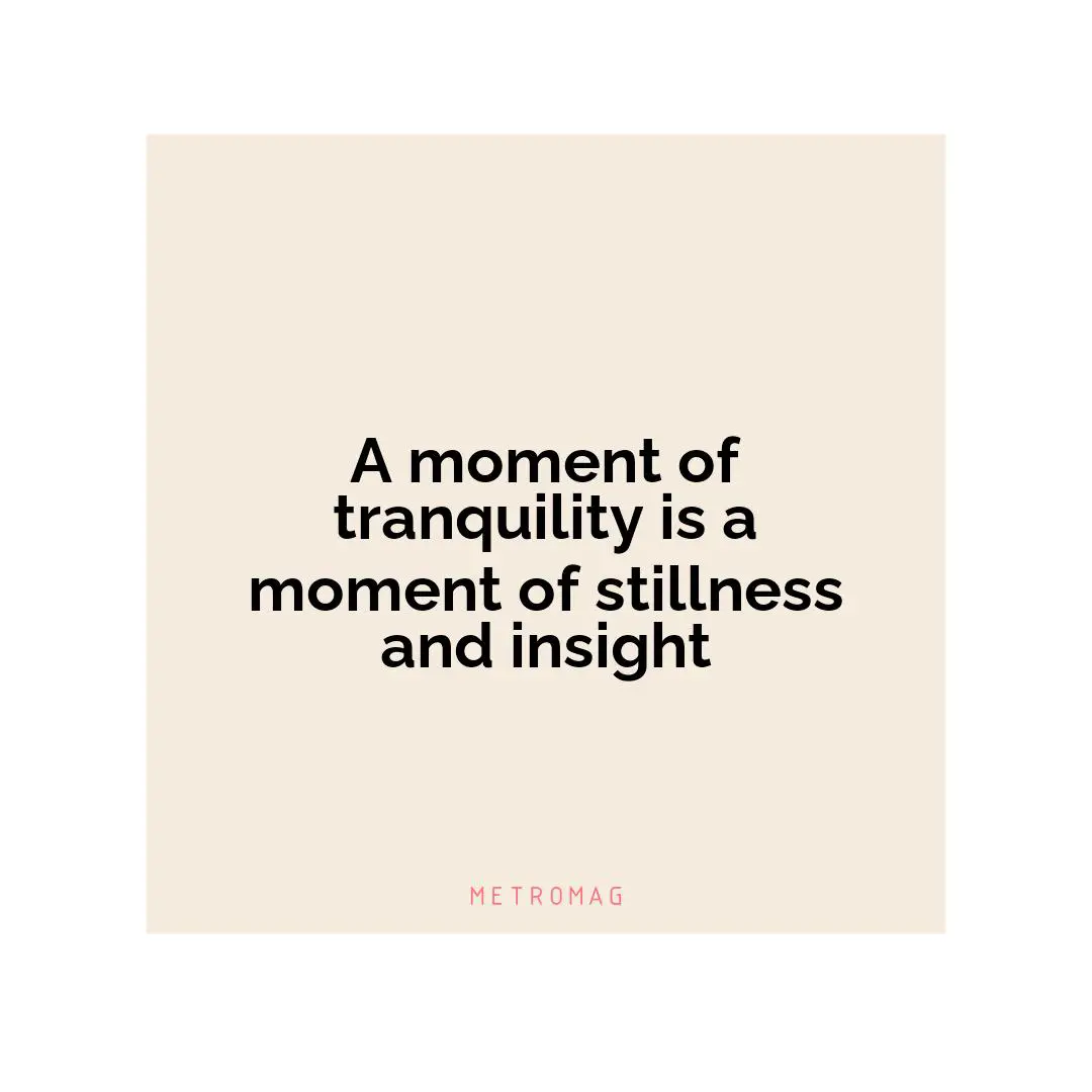 A moment of tranquility is a moment of stillness and insight
