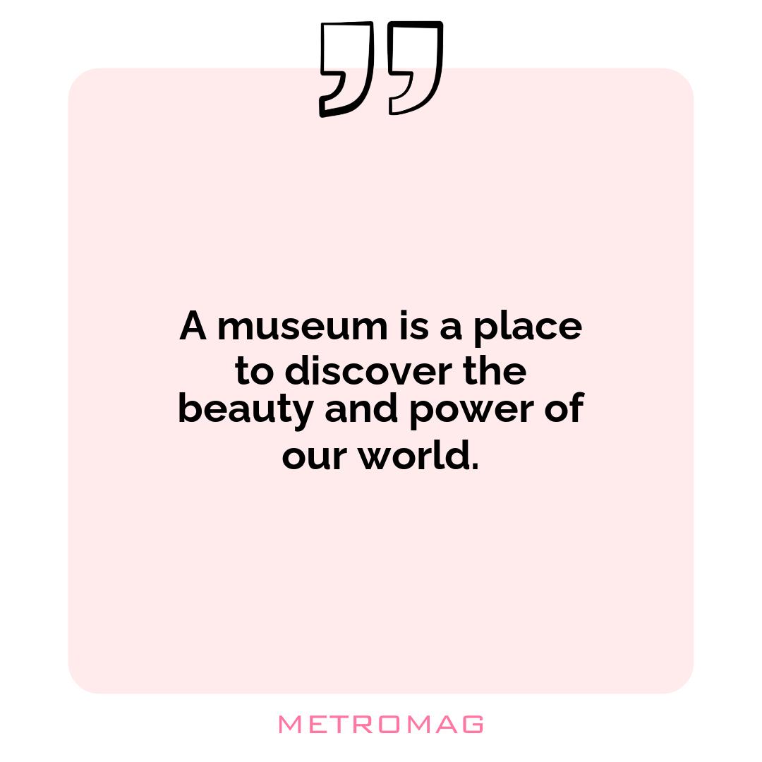 A museum is a place to discover the beauty and power of our world.
