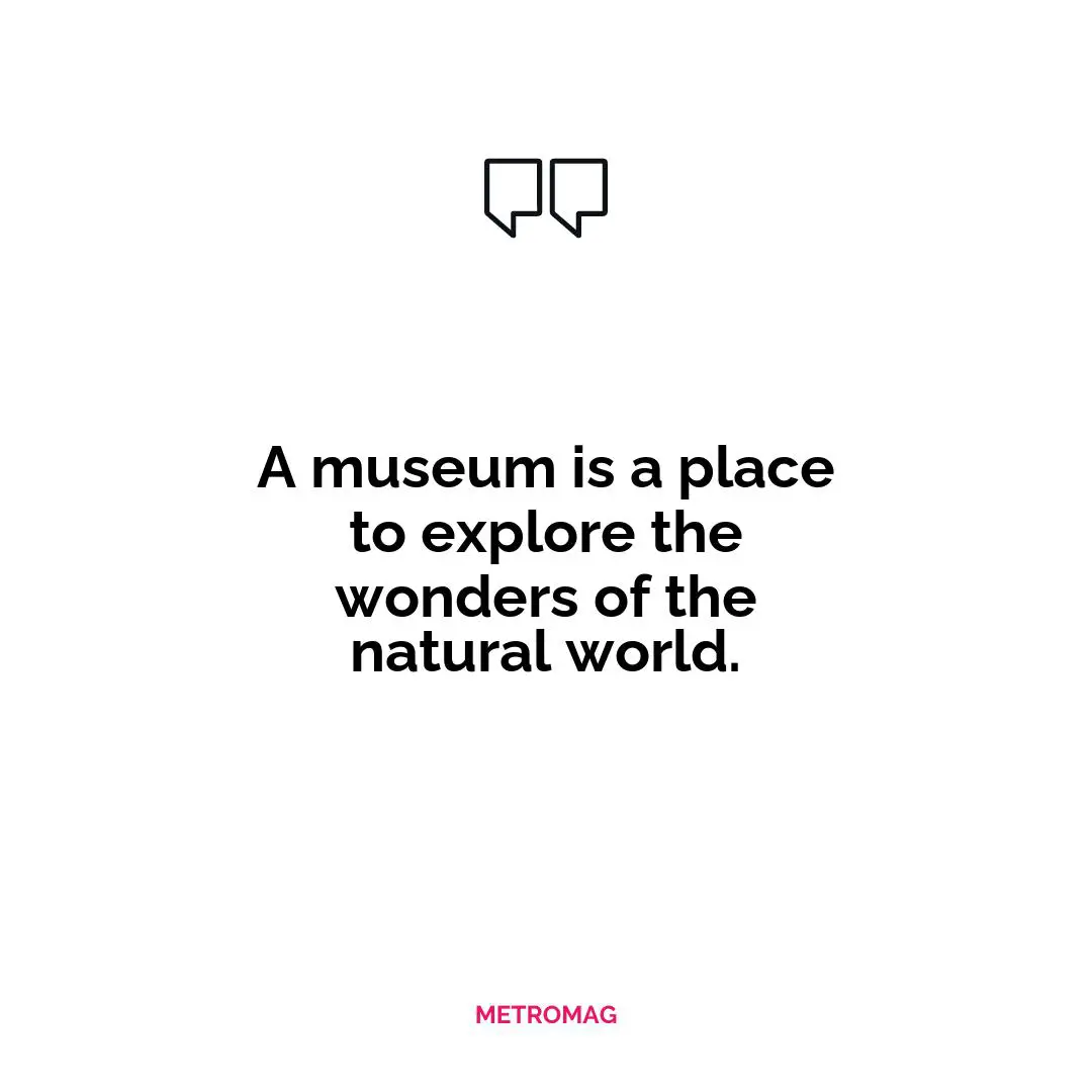 A museum is a place to explore the wonders of the natural world.