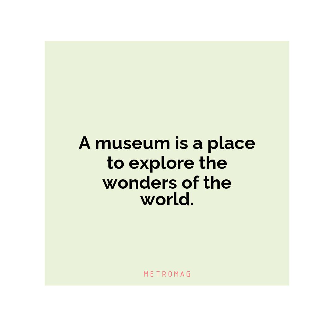 A museum is a place to explore the wonders of the world.