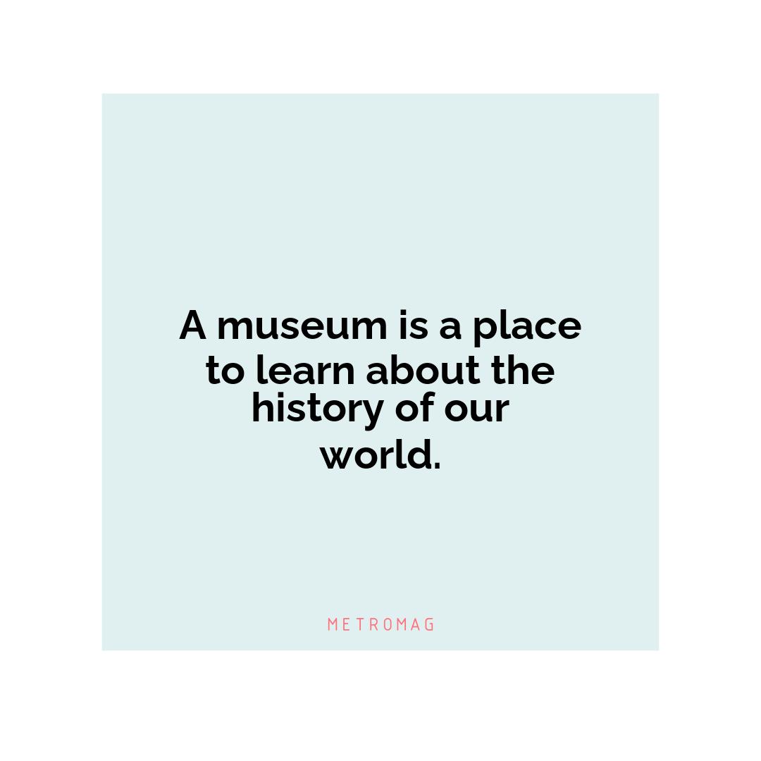 A museum is a place to learn about the history of our world.