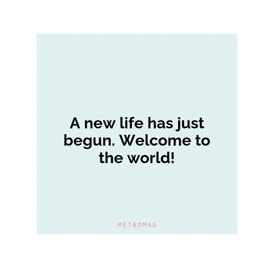 A new life has just begun. Welcome to the world!