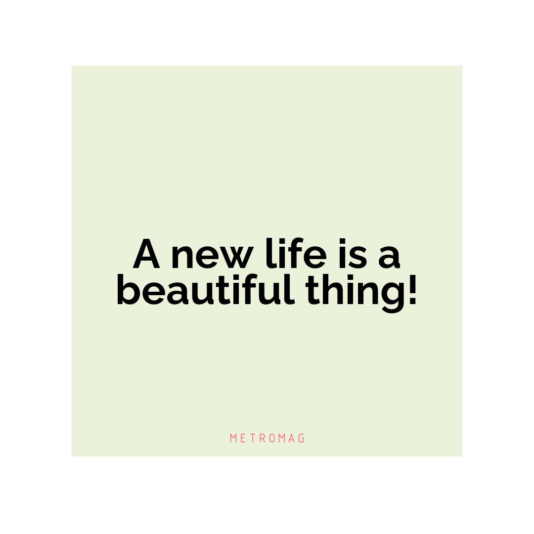 A new life is a beautiful thing!