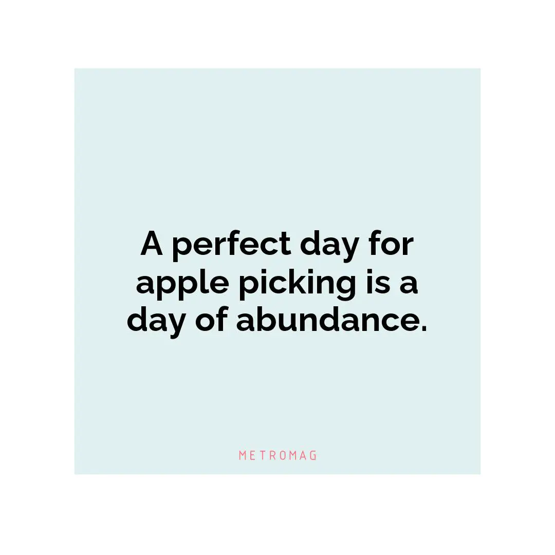 A perfect day for apple picking is a day of abundance.