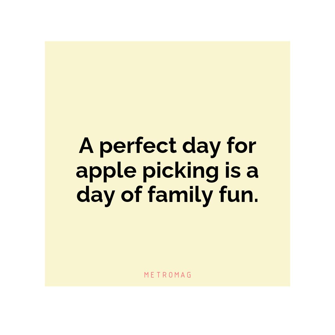 A perfect day for apple picking is a day of family fun.