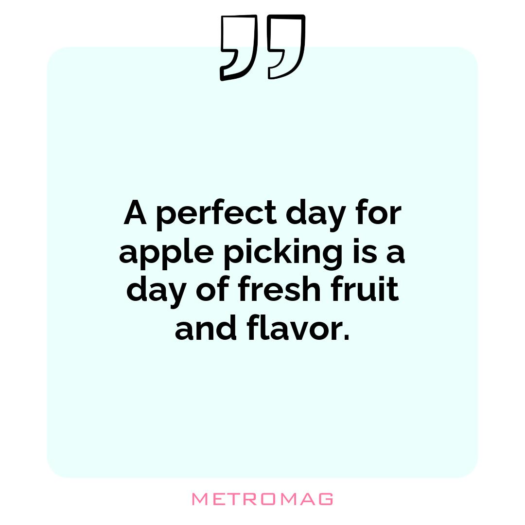 A perfect day for apple picking is a day of fresh fruit and flavor.