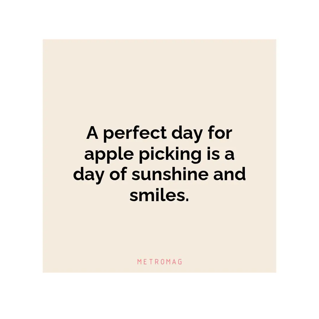 A perfect day for apple picking is a day of sunshine and smiles.