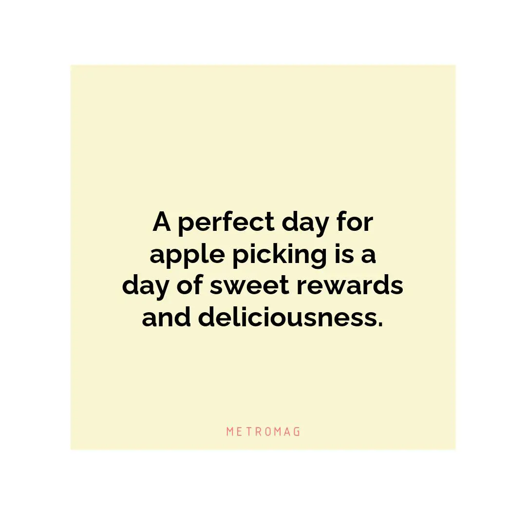 A perfect day for apple picking is a day of sweet rewards and deliciousness.