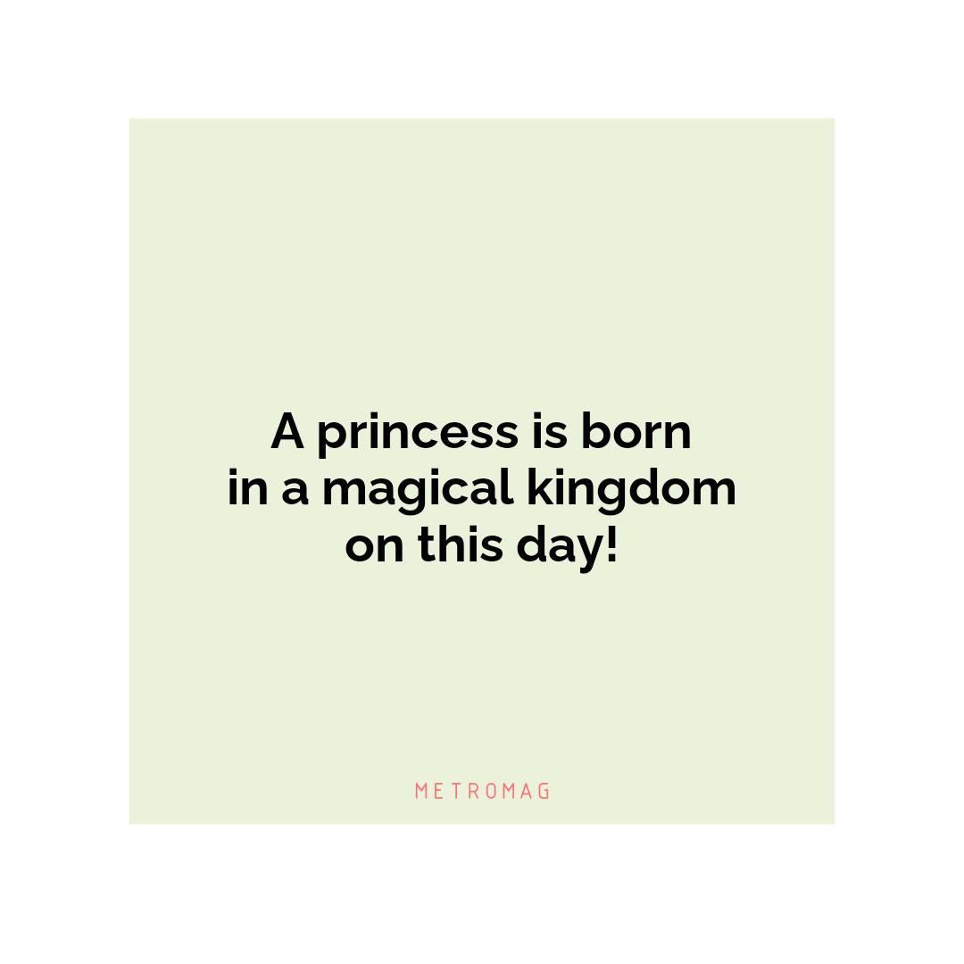 A princess is born in a magical kingdom on this day!