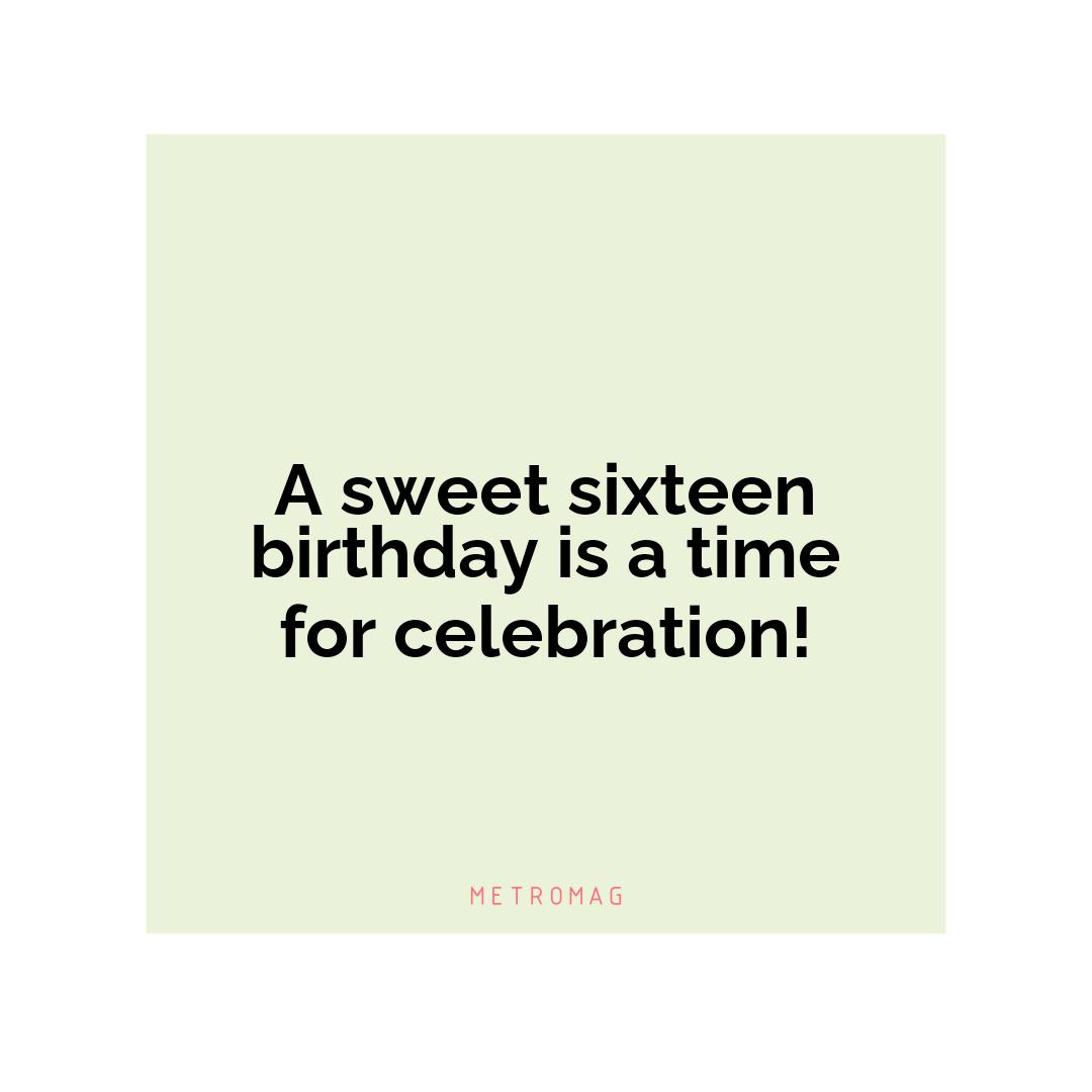 A sweet sixteen birthday is a time for celebration!