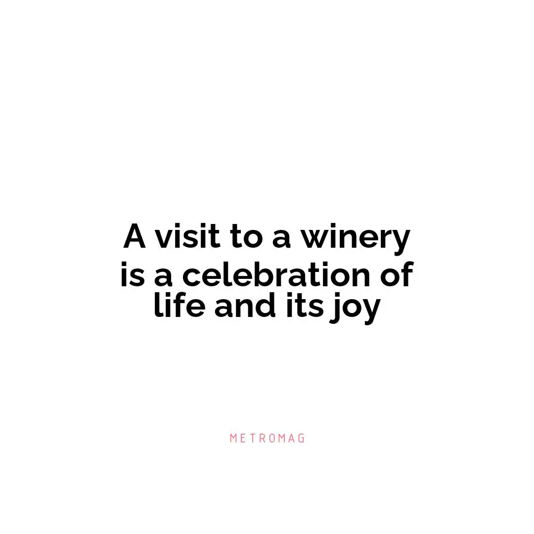 A visit to a winery is a celebration of life and its joy