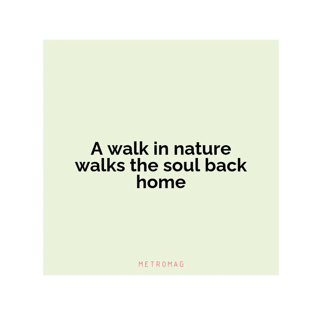 A walk in nature walks the soul back home