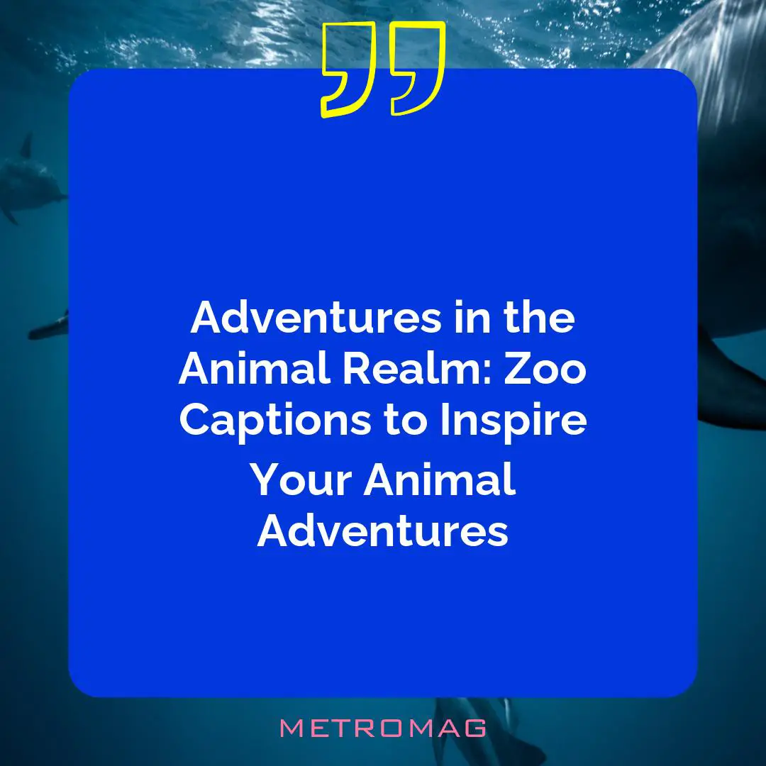 Adventures in the Animal Realm: Zoo Captions to Inspire Your Animal Adventures